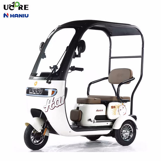 EEC Coc Ce 3 Wheel Mini Electric Vehicles for Adults