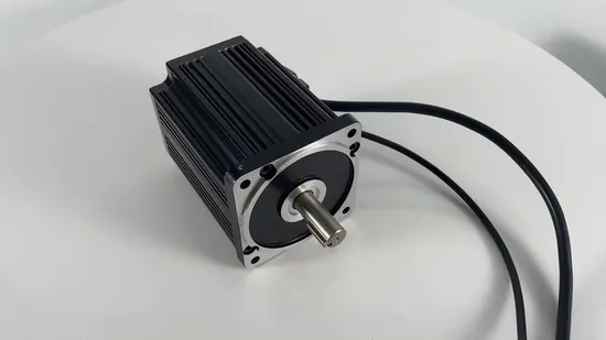 24V BLDC Brushless Motor High Torque 8 Inch Wheels - Hebei Vehicle ...